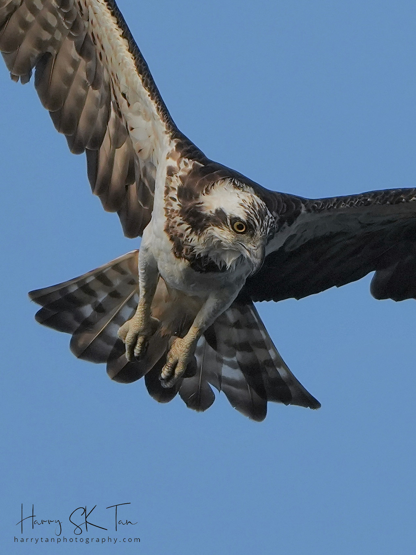 Krabi Overseas Workshop, Jan 2026